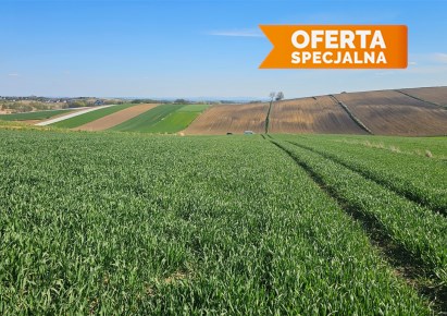 działka na sprzedaż - Kocmyrzów-Luborzyca, Głęboka