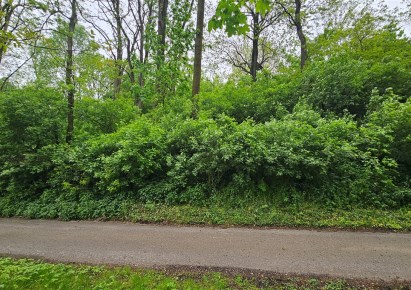 działka na sprzedaż - Kocmyrzów-Luborzyca, Karniów