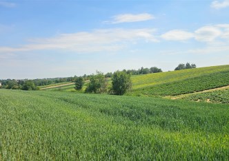 działka na sprzedaż - Skała (gw), Cianowice Duże