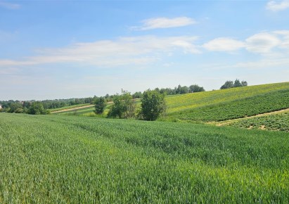 działka na sprzedaż - Skała (gw), Cianowice Duże