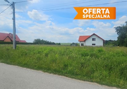 działka na sprzedaż - Skała (gw), Rzeplin