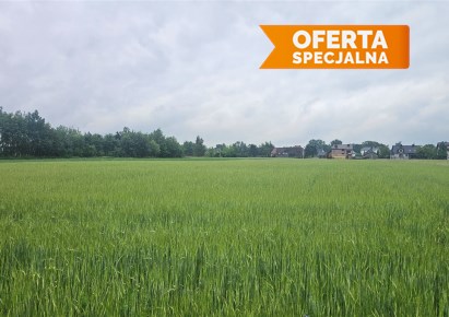 działka na sprzedaż - Liszki, Jeziorzany