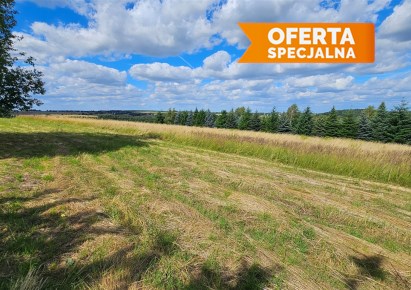 działka na sprzedaż - Jerzmanowice-Przeginia, Sąspów
