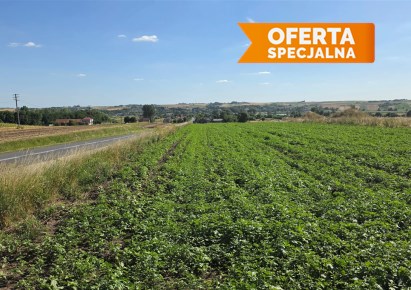 działka na sprzedaż - Skalbmierz