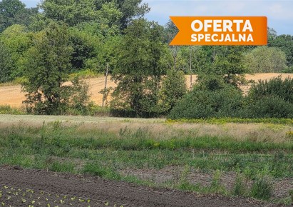 działka na sprzedaż - Kraków, Nowa Huta, Kościelniki