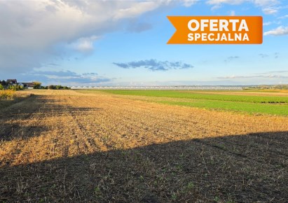 działka na sprzedaż - Słomniki (gw), Czechy