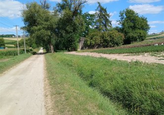 działka na sprzedaż - Koniusza, Polekarcice