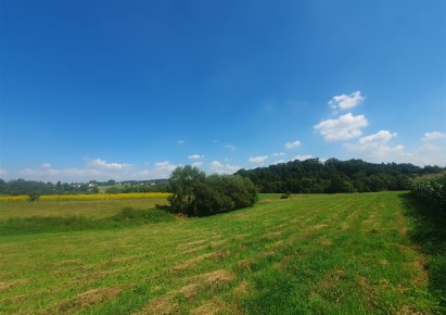 działka na sprzedaż - Siepraw