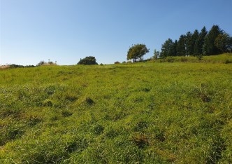 działka na sprzedaż - Wieliczka (gw), Podstolice