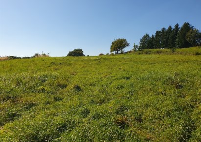 działka na sprzedaż - Wieliczka (gw), Podstolice