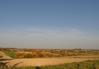 działka na sprzedaż - Wielka Wieś, Wierzchowie