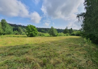 działka na sprzedaż - Zabierzów, Balice