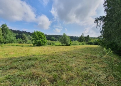 działka na sprzedaż - Zabierzów, Balice