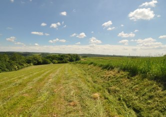 działka na sprzedaż - Michałowice, Wilczkowice