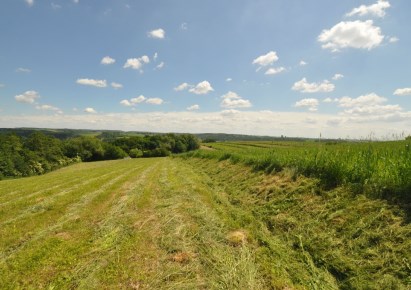 działka na sprzedaż - Michałowice, Wilczkowice