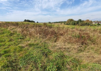 działka na sprzedaż - Jerzmanowice-Przeginia, Sąspów