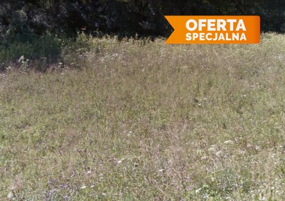 działka na sprzedaż - Kalwaria Zebrzydowska (gw), Zarzyce Małe