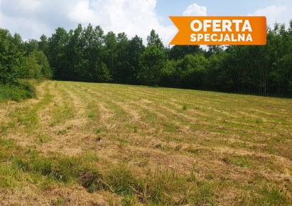 działka na sprzedaż - Mogilany, Włosań