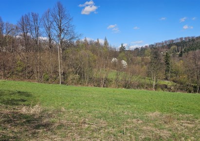 działka na sprzedaż - Raciechowice, Czasław