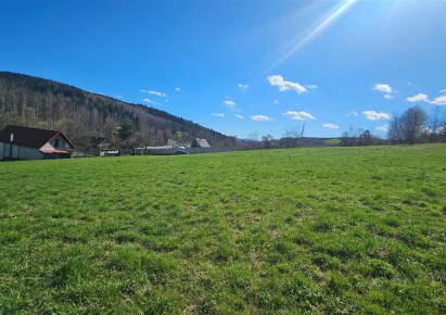 działka na sprzedaż - Raciechowice, Czasław