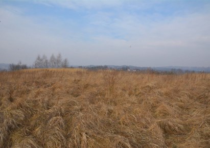 działka na sprzedaż - Dobczyce (gw), Dziekanowice