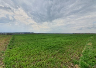 działka na sprzedaż - Słomniki (gw), Brończyce