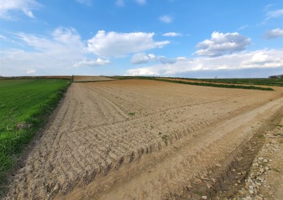 działka na sprzedaż - Koniusza, Czernichów