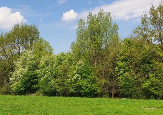 działka na sprzedaż - Kraków, Podgórze, Sidzina