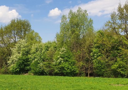 działka na sprzedaż - Kraków, Podgórze, Sidzina